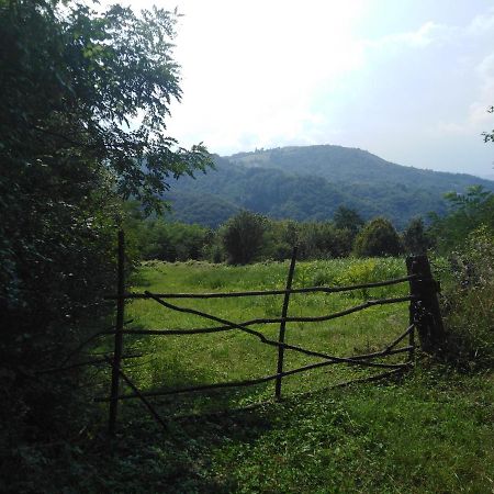 Guesthouse Smiljanic Slavkovica Exterior photo